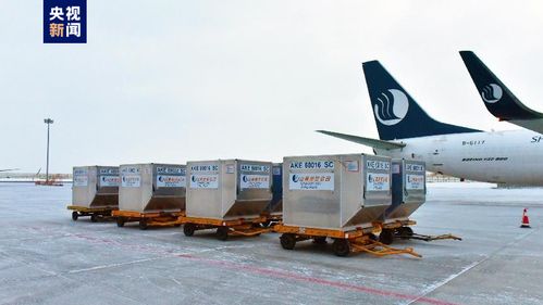 新疆首條定期國際貨運航線正式通航，年貨運吞吐量預計達3000噸